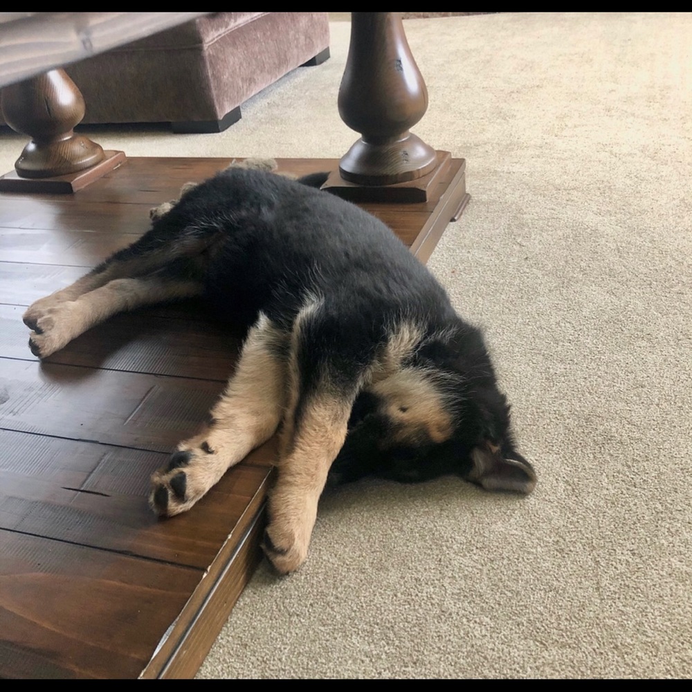 Like this to save my closet! 🛍